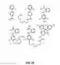 Fig. 02 - Identification of stabilizers of multimeric proteins