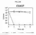 Fig. 35 - Antibacterial and antifungal compounds