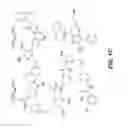 Fig. 03 - Small molecule inhibitors of pendrin ion exchange and pharmaceutical compositions