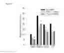 Fig. 07 - Methods of sensitizing a patient with glioma to a therapeutic agent by administering small hairpin RNA targeting PDZ-RHOGEF