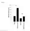 Fig. 09 - Methods of sensitizing a patient with glioma to a therapeutic agent by administering small hairpin RNA targeting PDZ-RHOGEF