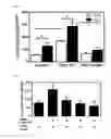 Fig. 32 - Methods of sensitizing a patient with glioma to a therapeutic agent by administering small hairpin RNA targeting PDZ-RHOGEF