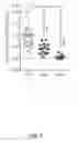 Fig. 06 - METHODS FOR ATTENUATING PARASITE VIRULENCE