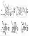 Fig. 06 - Selective modification of build strategy parameter(s) for additive manufacturing