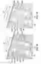 Fig. 09 - Selective modification of build strategy parameter(s) for additive manufacturing