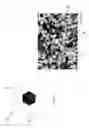 Fig. 03 - Wear resistant coating