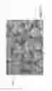 Fig. 05 - Wear resistant coating
