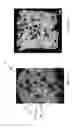Fig. 10 - Wear resistant coating
