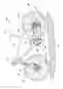 Fig. 02 - Pressure sensing assembly for a bicycle wheel