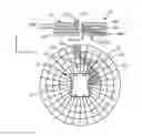 Fig. 01 - Vehicle light guidance system and method
