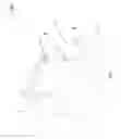 Fig. 02 - Tail tracking antenna