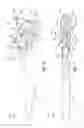 Fig. 05 - Actuator assemblies for control surfaces of an aircraft, aircraft including the actuator assemblies, and methods of utilizing the same