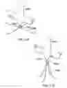 Fig. 29 - Air vehicle flight mechanism and control method for non-sinusoidal wing flapping