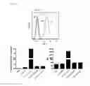 Fig. 09 - Skin-penetrating peptide and method for using same