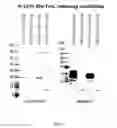 Fig. 03 - METHODS TO PRODUCE ROD-DERIVED CONE VIABILITY FACTOR (RDCVF)