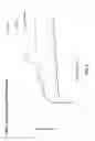 Fig. 03 - Amphiphilic graft copolymers