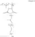 Fig. 09 - Amphiphilic graft copolymers