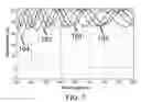 Fig. 08 - Nanocomposite formulations for optical applications
