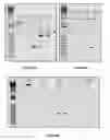 Fig. 16 - Compositions and methods for treating Huntington's disease and related disorders