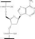 Fig. 16 - COMPOSITIONS AND METHODS FOR MODULATING HBV EXPRESSION