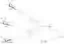 Fig. 167 - COMPOSITIONS AND METHODS FOR MODULATING HBV EXPRESSION