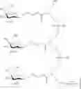Fig. 231 - COMPOSITIONS AND METHODS FOR MODULATING HBV EXPRESSION