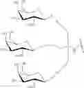 Fig. 84 - COMPOSITIONS AND METHODS FOR MODULATING HBV EXPRESSION