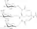 Fig. 87 - COMPOSITIONS AND METHODS FOR MODULATING HBV EXPRESSION