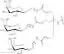 Fig. 90 - COMPOSITIONS AND METHODS FOR MODULATING HBV EXPRESSION