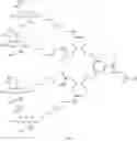 Fig. 167 - Nucleic acid conjugate