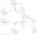Fig. 216 - Nucleic acid conjugate