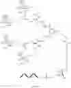 Fig. 255 - Nucleic acid conjugate