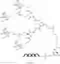 Fig. 294 - Nucleic acid conjugate