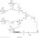 Fig. 303 - Nucleic acid conjugate