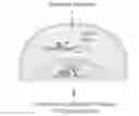 Fig. 01 - CRISPR mediated recording of cellular events