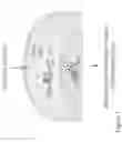 Fig. 02 - CRISPR mediated recording of cellular events