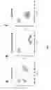 Fig. 02 - BIOLOGICAL METHODS FOR DIAGNOSING ACTIVE TUBERCULOSIS OR FOR DETEMINING THE RISK OF A LATENT TUBERCULOSIS INFECTION PROGRESSING TO ACTIVE TUBERCULOSIS AND MATERIALS FOR USE THEREIN