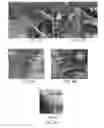 Fig. 07 - OXYGEN EVOLUTION ELECTROCATALYSTS WITH CARBON COATED COBALT (II, III) OXIDE LAYERS