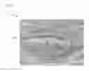 Fig. 02 - Woven fabric