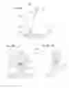 Fig. 08 - Wind power plants having elastic self-aligning ball bearings