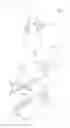 Fig. 09 - LIGHTING MODULE TIGHTENING STRUCTURE