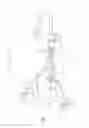 Fig. 02 - Connector for an electronic faucet