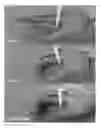 Fig. 01 - Waveguides for use in sensors or displays