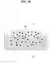 Fig. 19 - BLOOD STAINING PATCH, METHOD AND DEVICE FOR BLOOD TEST USING THE SAME