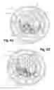 Fig. 24 - Sensor device for containers of liquid substances