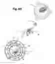 Fig. 48 - Sensor device for containers of liquid substances