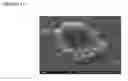 Fig. 07 - TRANSFORMATION OF MATERIAL INTO AN OPTICALLY MODULATING STATE VIA LASER RADIATION