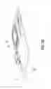 Fig. 05 - Device having actuating and sensing module