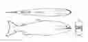 Fig. 01 - Autonomous sensor fish to support advanced hydropower development