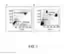 Fig. 02 - Diagnostic assays and methods of treating pneumonia, sepsis and systemic inflammatory response syndrome